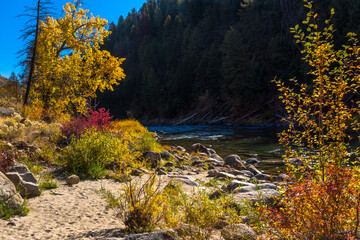 Bright autumn river landscape in sunny weather