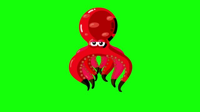 Swimming cartoon animation red octopus isolated. No bubbles version, character only. Cute animal squid character on greenbox good for keying. Kid animations, intro, fairy tales, etc...