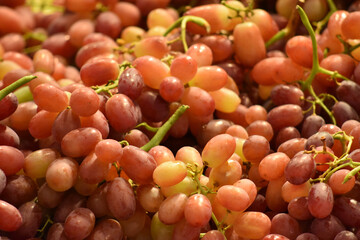 Close-up of grapes at market stall