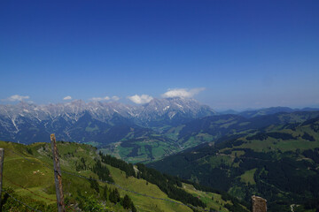 Fototapeta premium landscape in summer