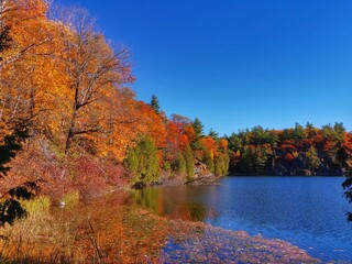 autumn in Gatineau Park, Quebec, Canada