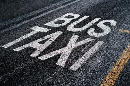 Bus and taxi word marked with white on asphalt outdoors in an European city.
