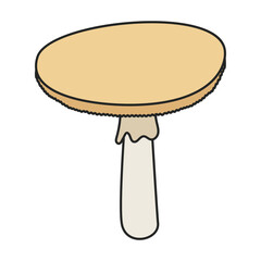 Amanita vector icon. Color vector icon isolated on white background amanita.