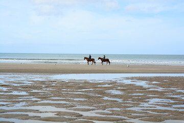 Cheveaux - Cavaliers - Plage de Deauville - Normandie