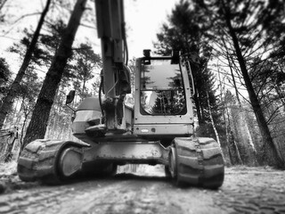 Bagger im Wald