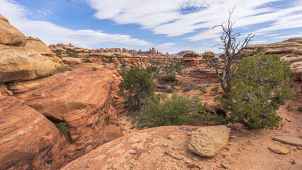 hiking the chesler park loop trail in the needles in canyonlands national park, usa