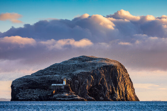 The Bass Rock, an island off the coast of East Lothian, in the east of Scotland. 