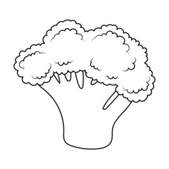 Broccoli vector icon. Outline vector icon isolated on white background broccoli.