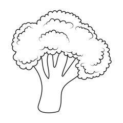 Broccoli vector icon. Outline vector icon isolated on white background broccoli.