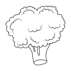 Broccoli vector icon. Outline vector icon isolated on white background broccoli.
