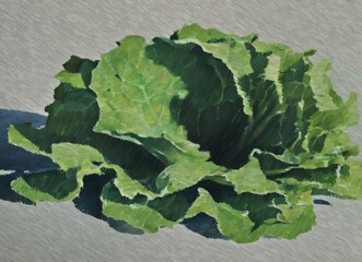 Green lettuce. Food. Digital watercolor painting. Concept art. 2d illustration.
