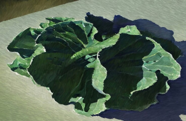 Green lettuce. Food. Digital watercolor painting. Concept art. 2d illustration.