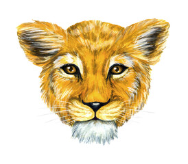 Little cute lion baby portrait. Lion's eyes. Watercolor illustration. Wildlife animals