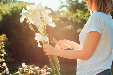 A young Caucasian woman holds a bouquet of white irises, pruning dry leaves. Summer gardening work....