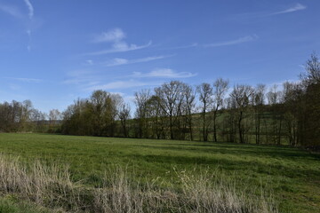 Landschaft in Himmighausen bei Bad Driburg