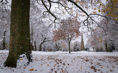Sheffield park in winter
