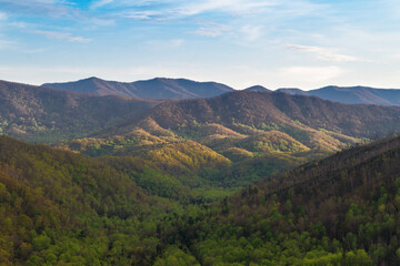 Naklejka premium Great Smoky Mountains