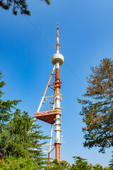 Obraz premium TV tower in the city of Tbilisi on the background of green trees