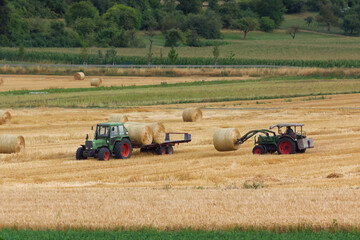 Tractor loading large round bales of straw onto trailer on a cornfield after harvest