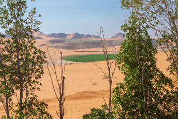 farming in the desert