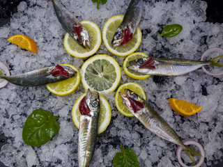 Horse mackerel is the name given to the fish species that make up the Trachurus genus from the...