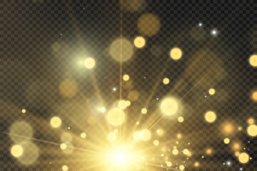 	
Brilliant gold dust vector shine. Glittering shiny ornaments for background. Vector illustration.
