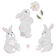 Lovely set of bunnies. Cute rabbits. Vector illustration