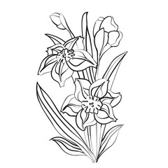 bouquet of flowers