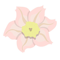 Beautiful bright flower. Vector illustration.