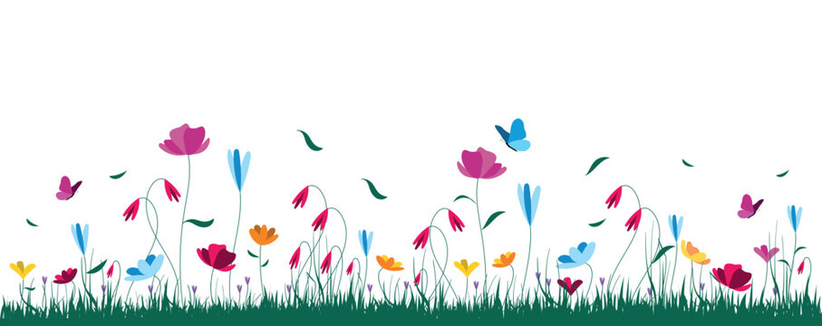 sfondo, prato fiorito,  fiori, piante, primavera