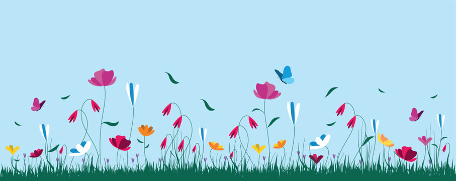 sfondo, prato fiorito,  fiori, piante, primavera