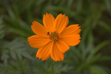 Explorando o mundo em macro