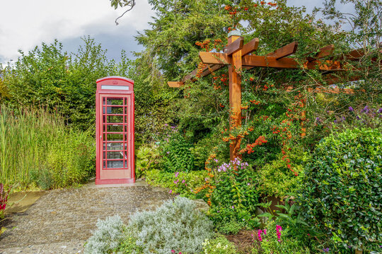 pyracantha bright red and London style phone booth in Augsburg  botanical garden