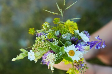 A bouquet of wild flowers in children's hands. Wild flowers to collect.
