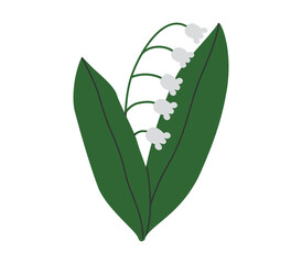 Hand drawn cute cartoon illustration of lily of the valley flower with leaves. Flat vector spring plant sticker in colored doodle style. Blooming may-lily icon or print. Isolated on background.