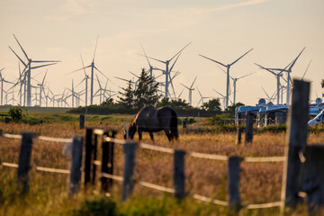 Wind turbines in North Friesland/ North Sea in the evening light, in the foreground a horse's paddock