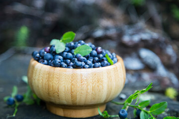 Wild blueberries - 577525386