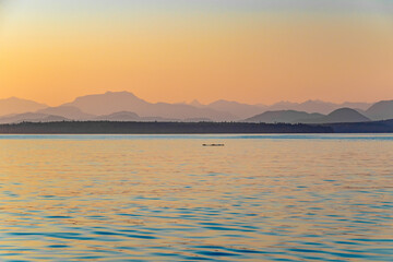 Beautiful Sunset With Hazy Mountains on Strait of Georgia in Vancouver Island , British Columbia, Canada