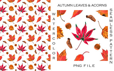 Watercolor hand-painted abstract seamless PNG pattern of autumn fallen leaves. Suitable for fabrics, prints, postcards, invitations, mobile apps, banners design, internet ads  and web pages and more.