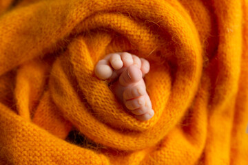 Soft feet of a newborn. baby limbs on orange background
