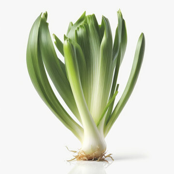 The Delicate And Flavorful Leek