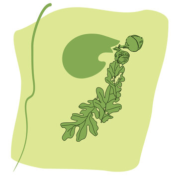 recommend clip art: Decorative typeface with a floral ornament made of leaves and acorns of the common oak. Unusual forest alphabet. Environmental typography.