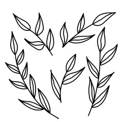 Floral Decoration Branches set in hand drawn doodle style. Vector illustration isolated on white background.