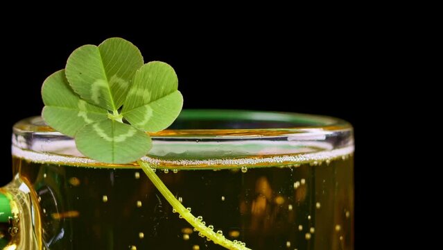 Lucky four leaf clover in beer. St Patrick's day drink with shamrock.