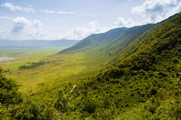 beautiful African landscape in Tanzania with trees and mountains.