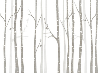 Art birches trees for kids room wallpaper, background,  © Batsa