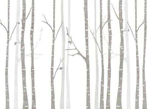 Art birches trees for kids room wallpaper, background, 