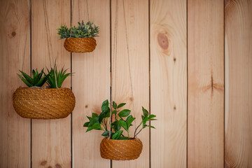 Fototapeta na wymiar Houseplants in eco pots made of thick rope and twine hang against wooden wall. Aloe houseplants, epipremnum aureum. Rustic, Scandinavian style in the interior of the apartment. Botanical design.