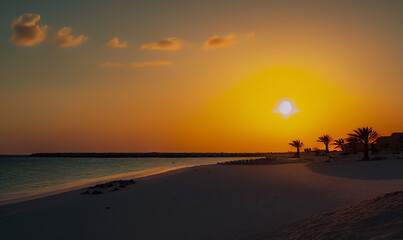 Fototapeta premium Caribbean islands on sunset. Eagle Beach in Oranjestad, Aruba. Resort on Caribbean Palm Beach. Coastline at ocean. Waves at sea on sunset.