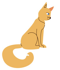 Fototapeta premium yellow cat seated